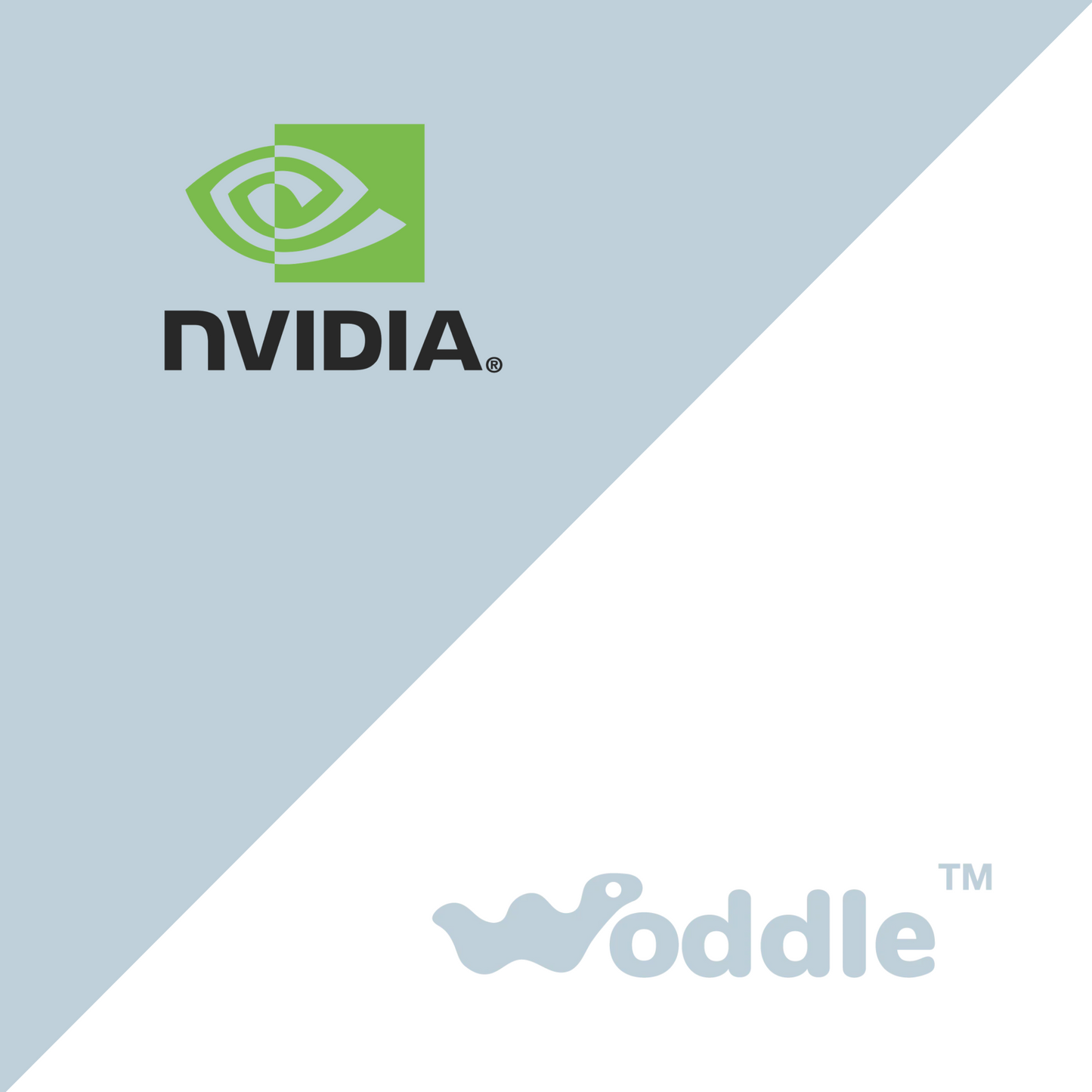 Woddle: Illuminating the Future with NVIDIA Inception